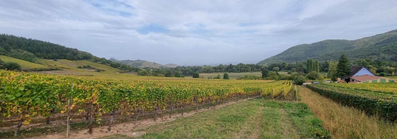 Vila Nid 2 Cigognes Zimmerbach Exteriér fotografie